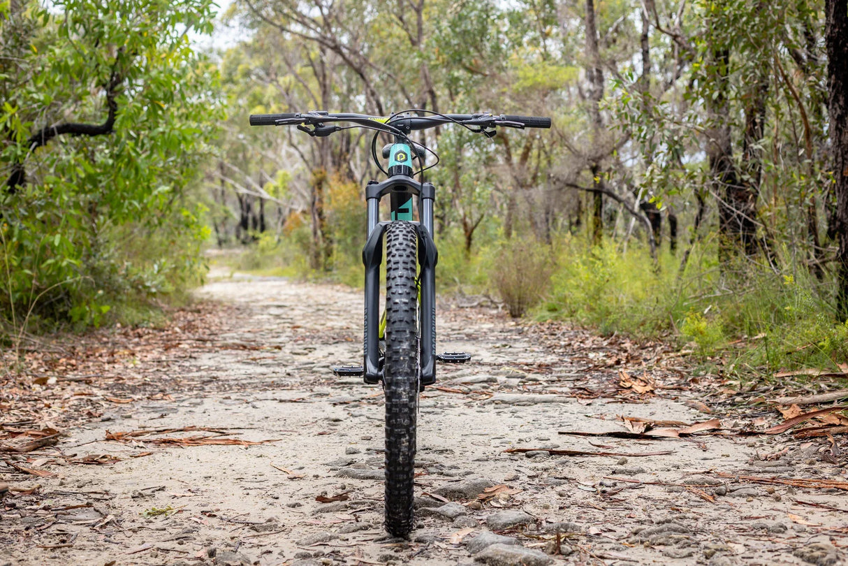 Bicicleta Mtb Polygon Siskiu T7 Blu/Grn