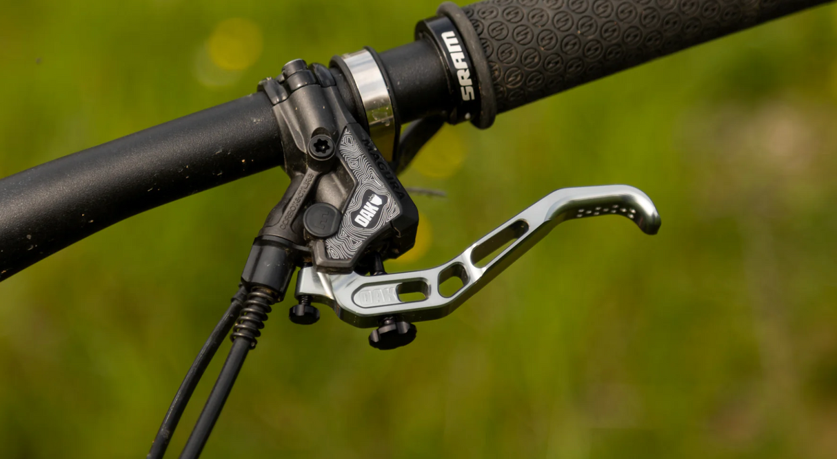 Cover Oak Master Magura Annual Ring