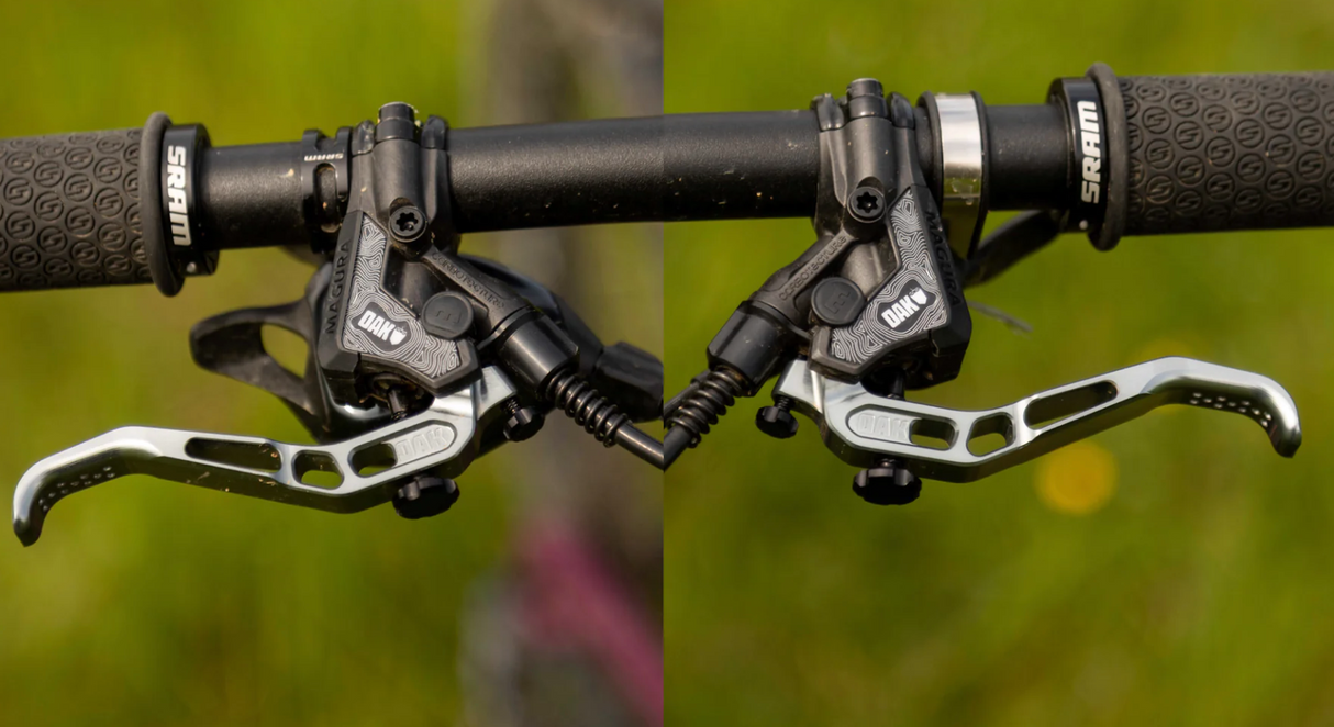 Cover Oak Master Magura Annual Ring