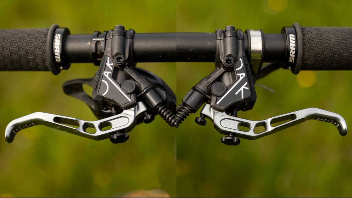 Cover Oak Master Magura Annual Ring