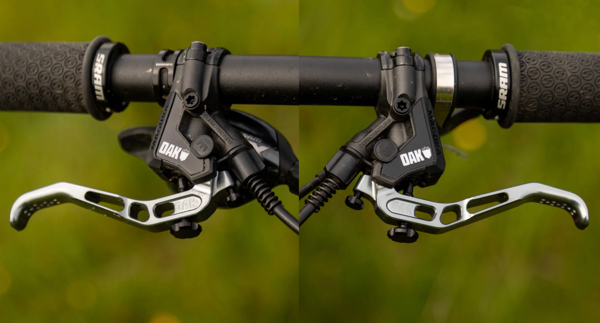 Cover Oak Master Magura Annual Ring