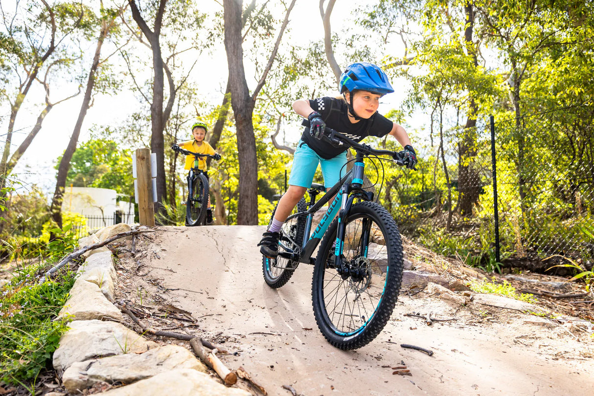 Bicicleta Niño Polygon Premier 24