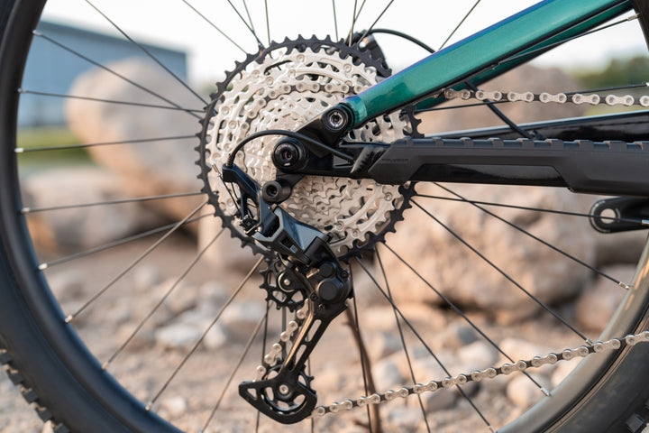 Bicicleta Polygon Siskiu T8 UDH Chameleon