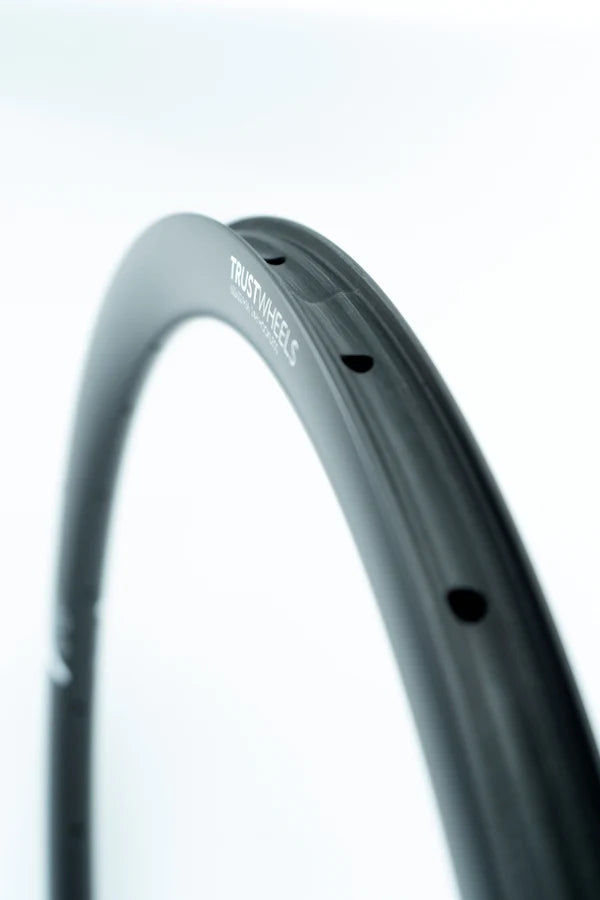 Llanta Trust Wheels M3629Hl 700C 24H