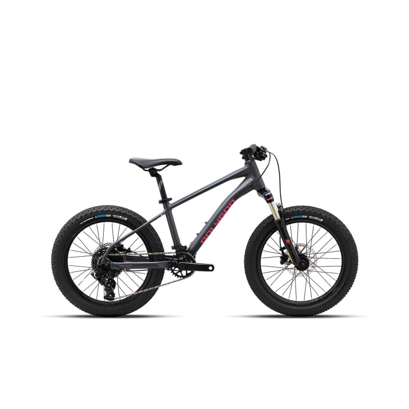 Bicicleta Niño Polygon Xtrada 20 Junior Charcoal