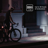 Luz Ravemen Fr500