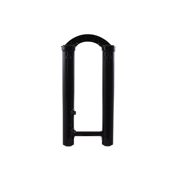 Botellas 2025 40 29In 20X110 Boost Fox Shiny Black 20Mm