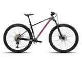 Bicicleta Mtb Polygon Xtrada 6 UDH Charcoal/Black
