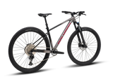 Bicicleta Mtb Polygon Xtrada 6 UDH Charcoal/Black