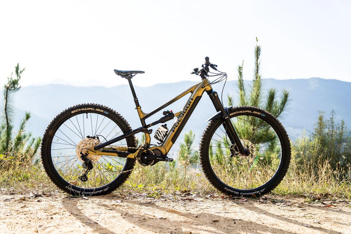Bicicleta Electrica Polygon Siskiu Te-N Bwn