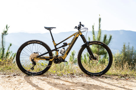 Bicicleta Electrica Polygon Siskiu Te-N Bwn
