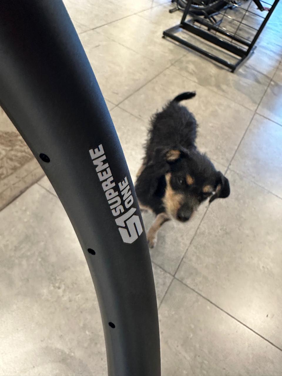 Llanta Supreme One Dynamal 32 29" / 32Hoyos