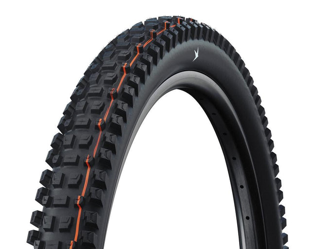 Schwalbe Albert Gravity Pro Radial Soft 29X2.5"